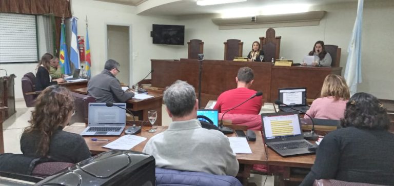 El Concejo Deliberante realizó la décimo tercera sesión ordinaria del año